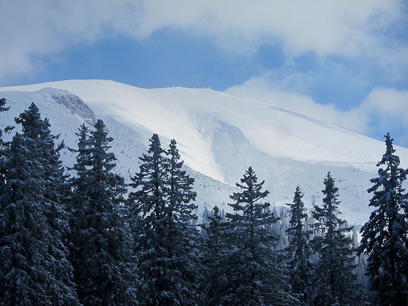 Kuhschneeberg